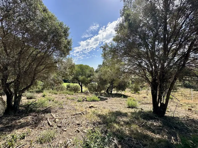 Parcela en venta - Sotogrande - Alto - foto 5