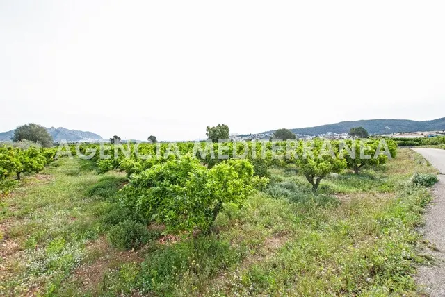 AMPLIA PARCELA URBANIZABLE PROXIMA ORBA CENTRO — 22