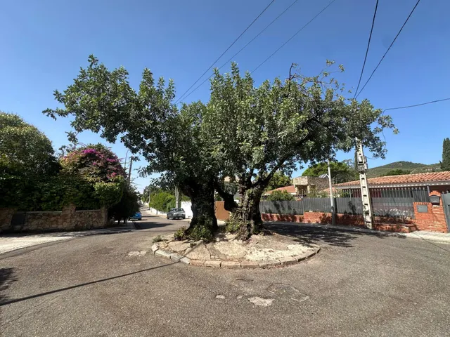 EXCLUSIVA FINCA SEÑORIAL CON TRES VIVIENDAS Y PISCINA EN UNA DE LAS MEJORES ZONAS DE CÓRDOBA — 22