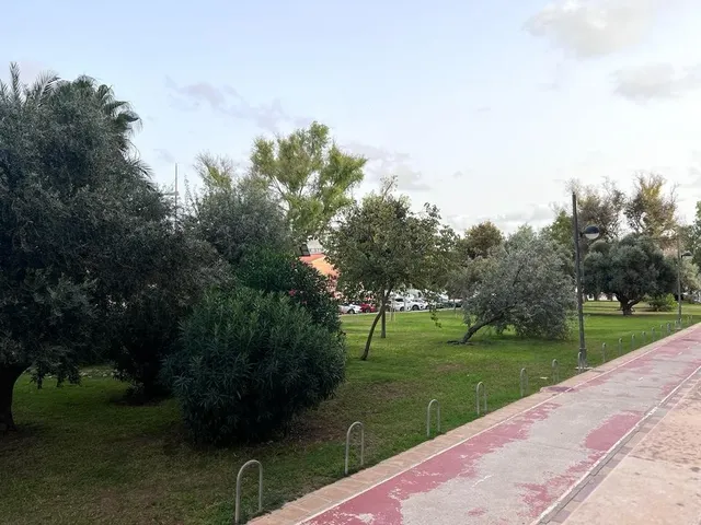 Se alquila local en planta baja en Cartagena — 11