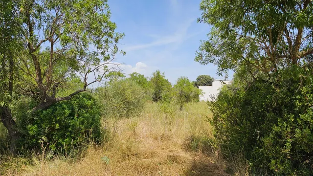 VENTA DE 3 PARCELAS AGRUPADAS CON POSIBILIDAD DE CONSTRUIR UNA VIVIENDA UNIFAMILIAR !! — 14