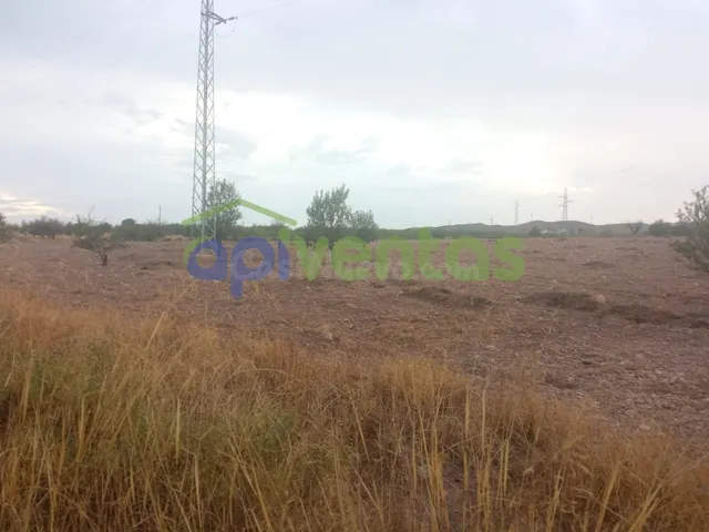 Terreno a 200 metros de la area de servicios EL LIMITE - foto 3