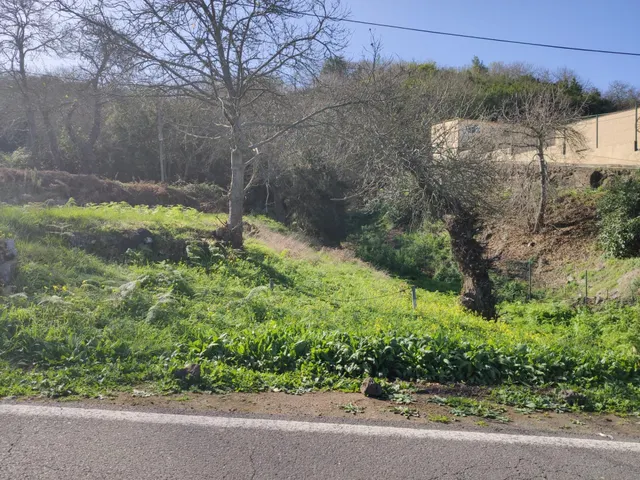 TERRENO EN LA OROTAVA, AGUAMANSA — 2
