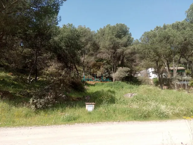 PARCELA URBANIZACIÓN JARAS - foto 2