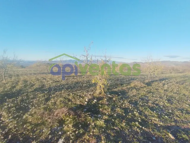Casa de piedra con 61 hectáreas de terreno — 28