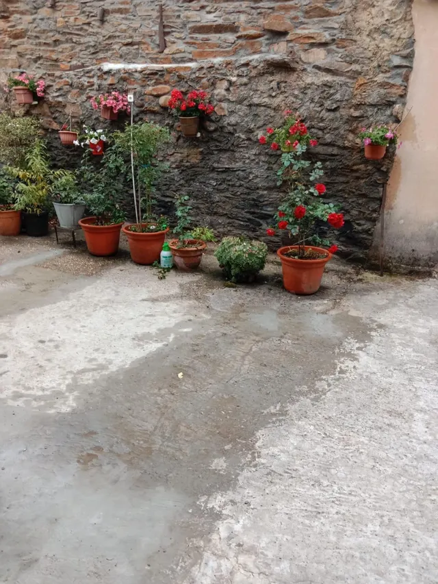 CASA RURAL, DE PIEDRA, LA OMAÑUELA (RIELLO) LÉON - foto 3