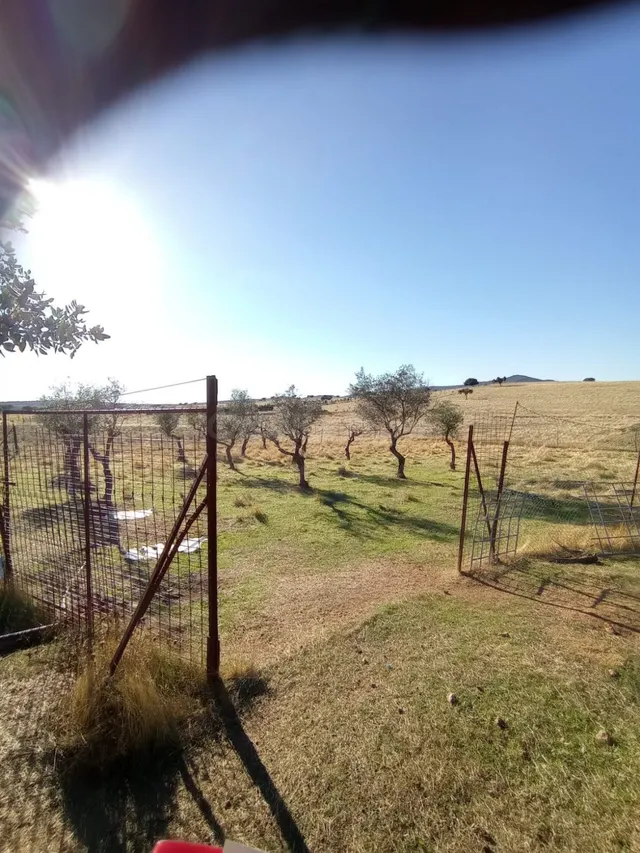 Finca Rústica en Carretera de Badajoz - foto 5