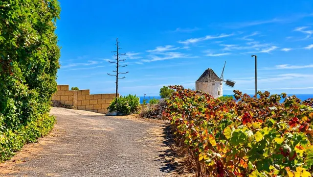 Finca exclusiva en Vilaflor · 2 viviendas, viñedo, bodega y piscina — 80