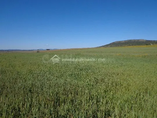 Terreno rural en venta - SIERRA DE FUENTES - foto 2