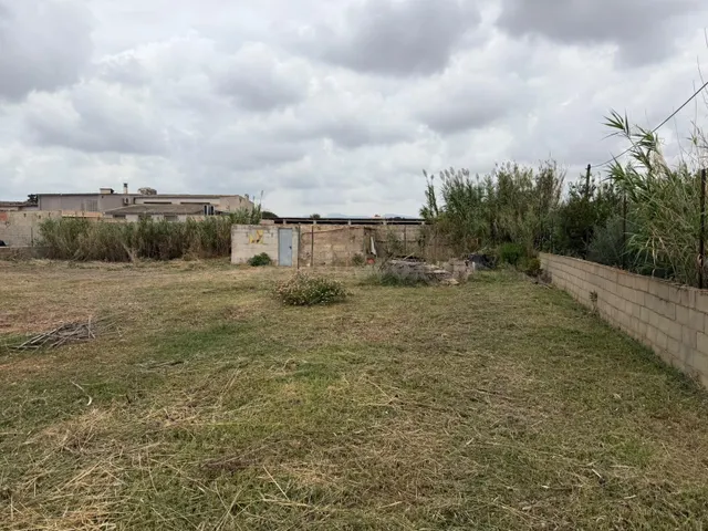 Parcela Rustica en Son Bonet. - foto 4