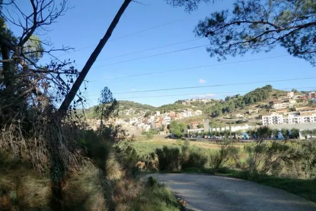 TERRENO RÚSTICO DE SECANO DE AVELLANOS - RIUDECOLS — 14