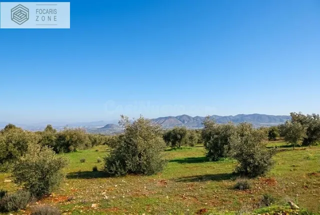 TERRENO EN ALHAURÍN EL GRANDE - foto 4
