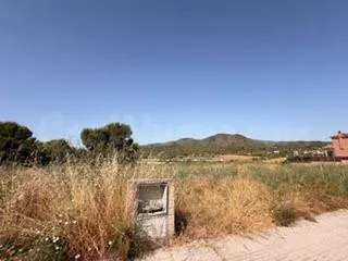 En ventas: 2 parcelas independientes - Santa Oliva