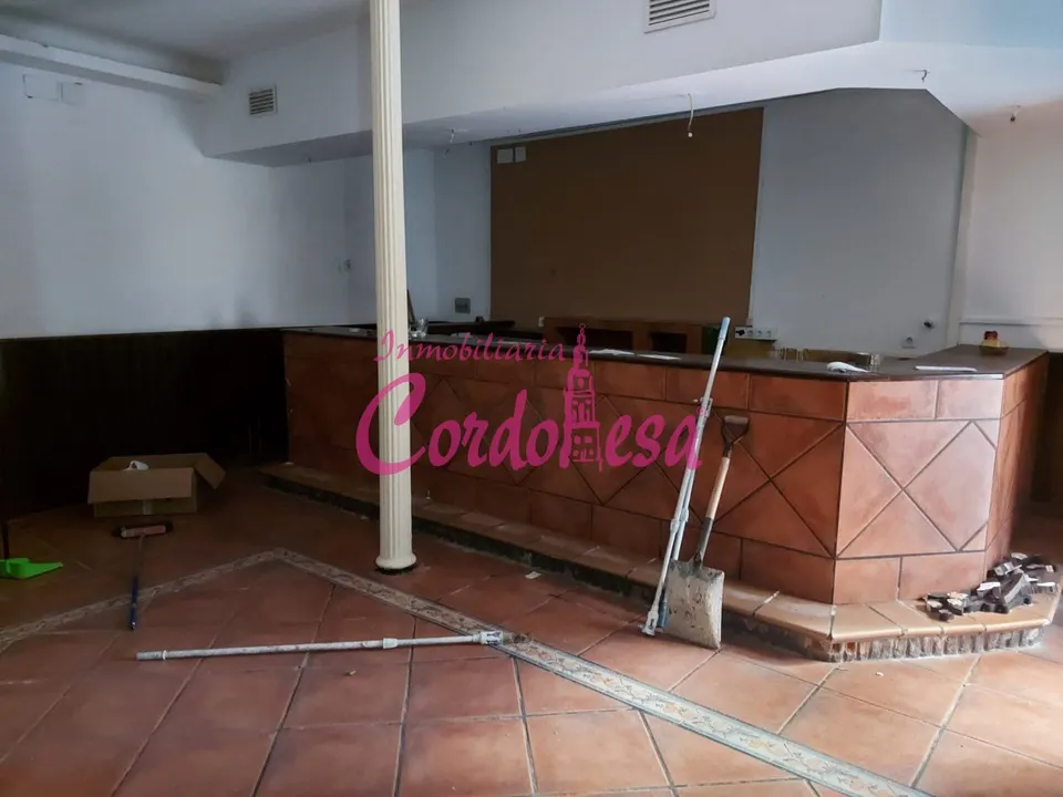 CASA INDEPENDIENTE CON LOCAL COMERCIAL EN PLANTA BAJA