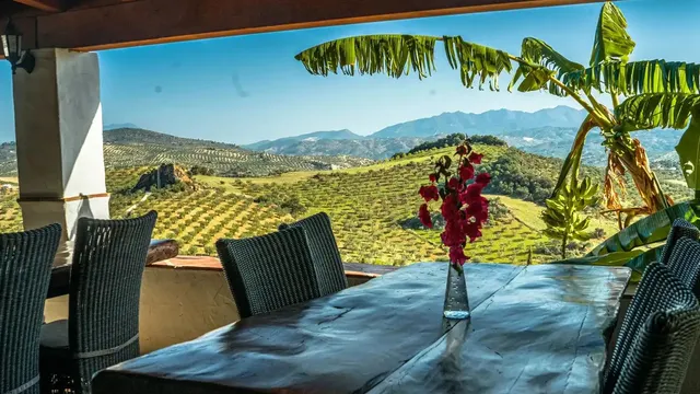 Hotel 17 habitaciones 832m² en venta - South of spain — 34