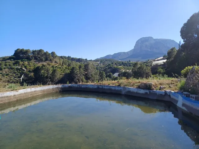 PARCELA DE TERRENO CON CASA CONSTRUIDA Y ARBOLES FRUTALES — 28