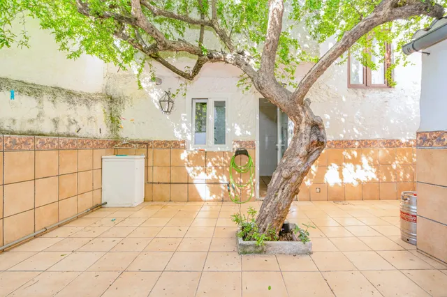 Casa de pueblo en el corazón de Cúllar Vega (Plaza de la Constitución) — 16