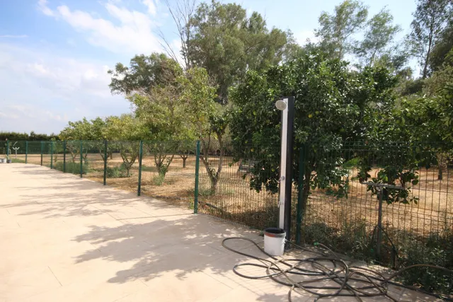 Excepcional Finca Rústica Recién Reformada con Piscina y 5.200 m2 de Parcela en El Pintado, Gibraleón — 29