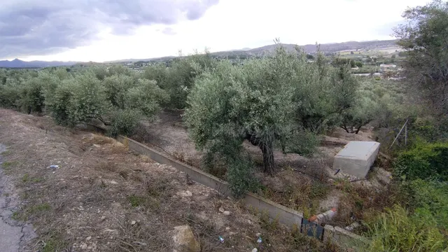 Parcela en venta - Calasparra
