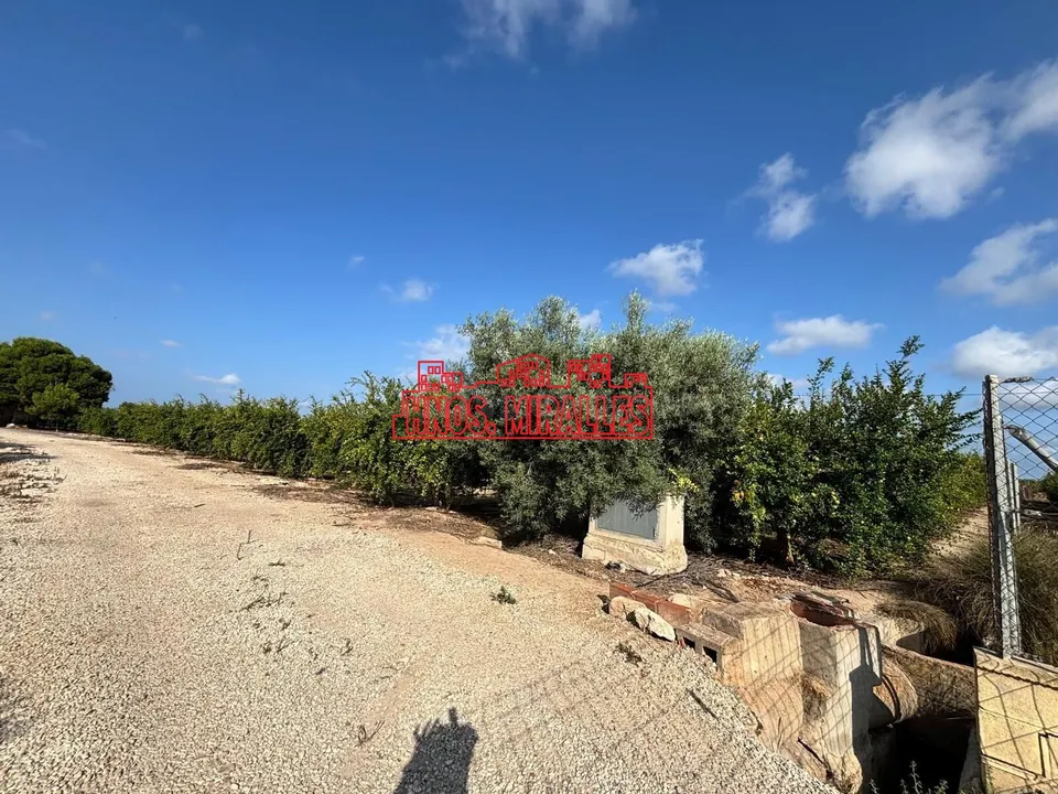 SE VENDE PARCELA EN CAMINO VIEJO DE SANTAPOLA PARA EDIFICAR.