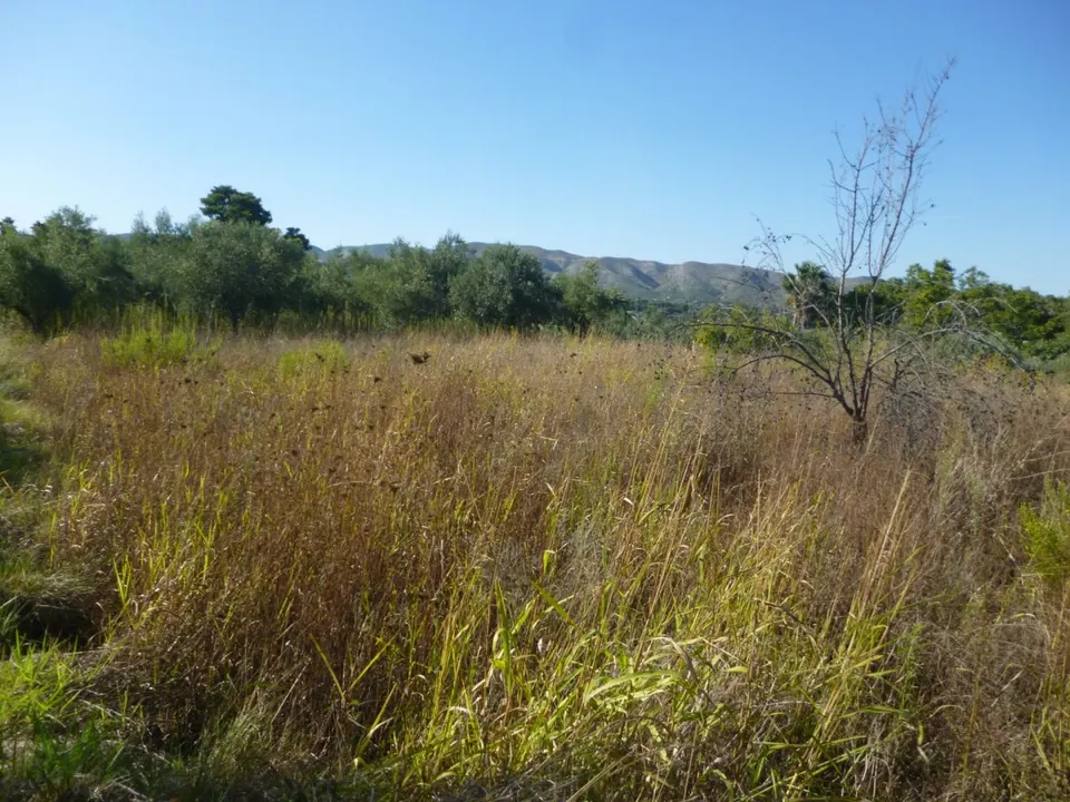 Terreno en Camí Vell d' Agullent - Ontinyent