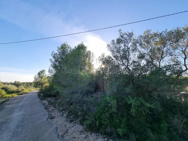 Terreno Rústico de 28.454m2 en Venta en L’Ametlla de Mar - foto 2