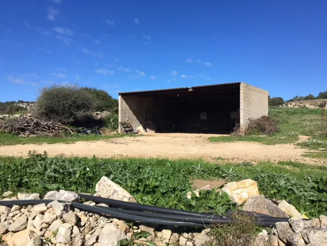 C-7035 - Casa de campo en Son Bou — 24