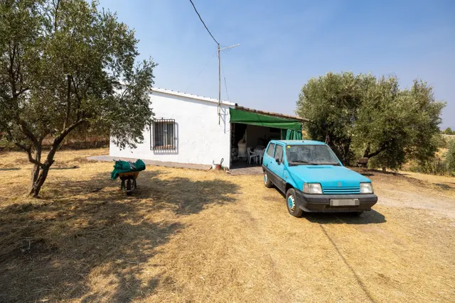 Encanto rústico con casita y olivos en Moraleja de Zafayona — 3