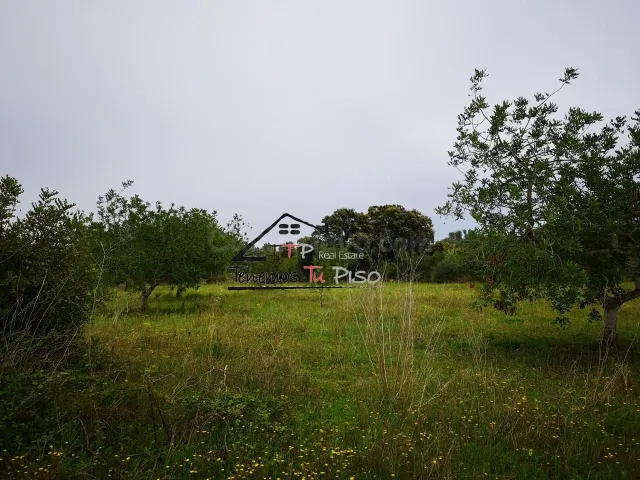 Terreno rural en venta - Cervera del Maestre - foto 3