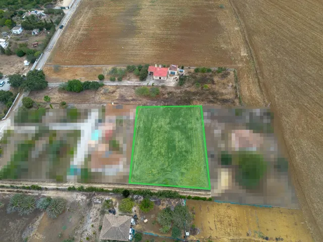 Parcela rústica de 2.000 m2 en Pago de Humo, Chiclana: tu terreno en el campo — 4