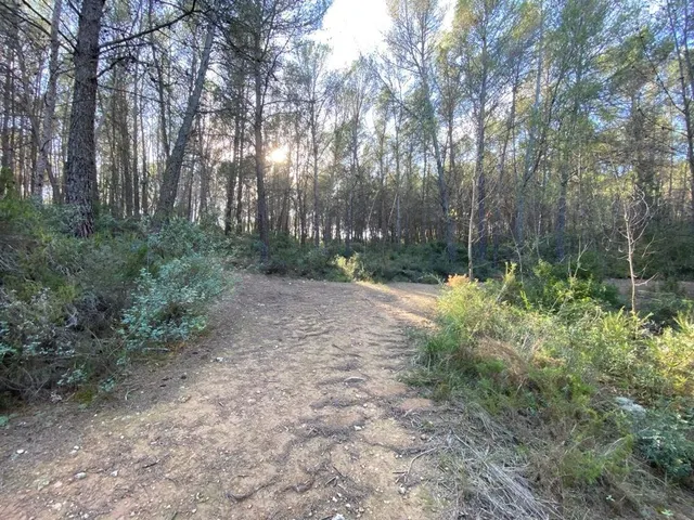 OPORTUNIDAD ENORME TERRENO EN VENTA POR 150.000€ — 7