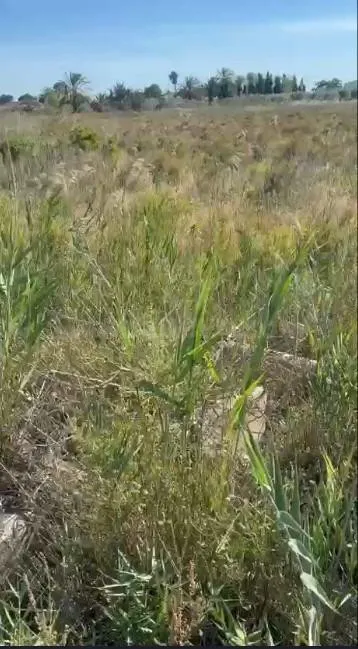 Terreno rustico en Daimés