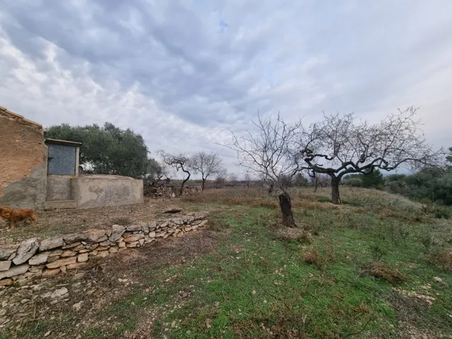 Económica Finca, con antigua caseta de campo de 25 M2 en El  - foto 4