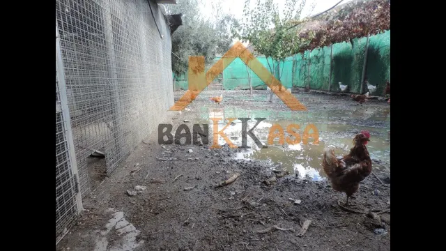 SE VENDE CASA CON TERRENO EN CHERÍN (UGÍJAR) PROVINCIA DE GRANADA — 20