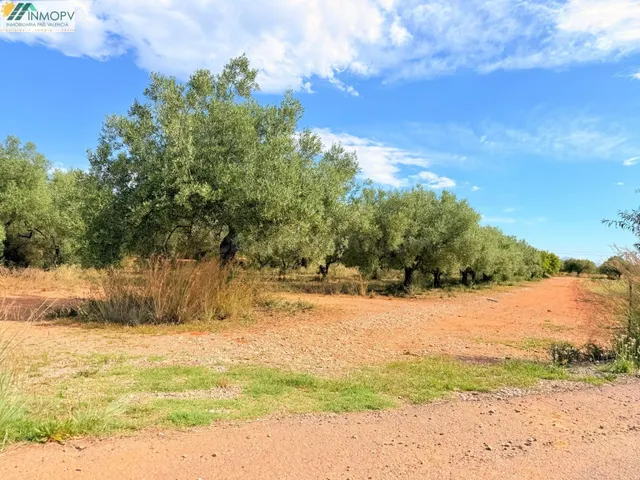 ¡OPORTUNIDAD! PARCELA RÚSTICA DE 3.900 m2 EN PEÑÍSCOLA CON A - foto 5