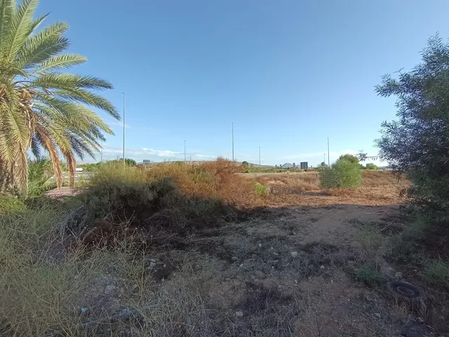 Parcela de 7.677 m2 fachada a carretera via parque Alicante - Elche — 12