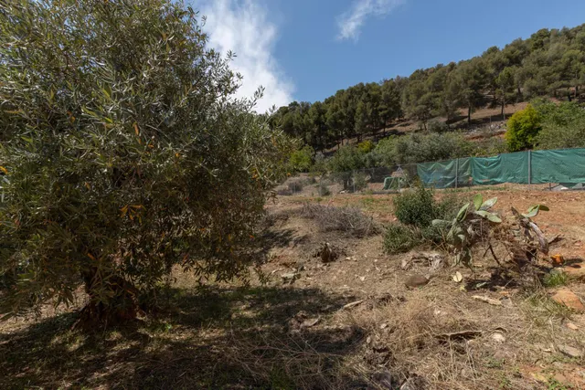 Parcela Urbanizable en Carretera de la Sierra — 15