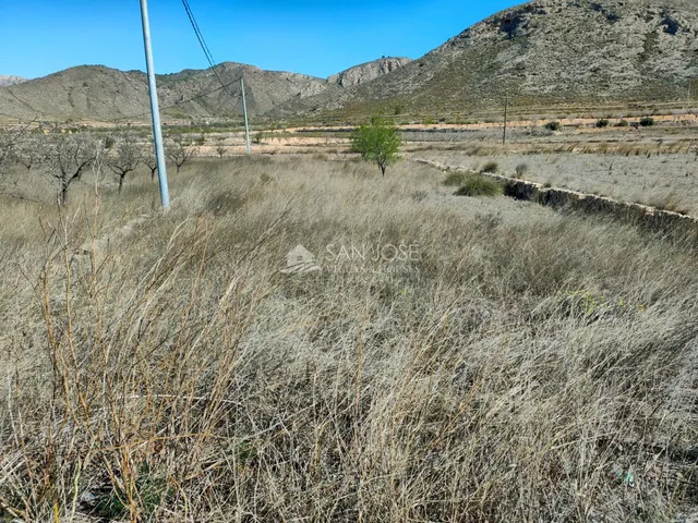 SE VENDE PARCELA EN BARBARROJA CERCA DEL PUEBLO — 3