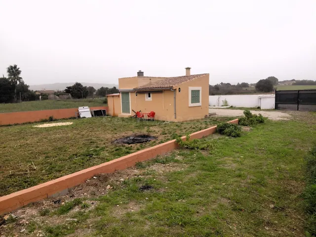 Rustica con casa a sólo 2 Km de Manacor con luz y agua propi - foto 3