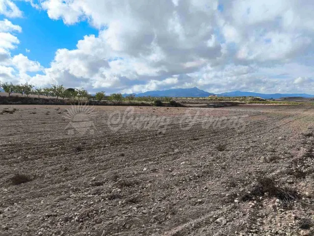 Suelo rústico en Venta en Jumilla Murcia — 5