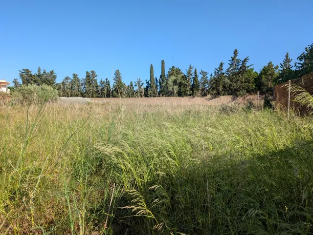 ¡Parcela en Venta de 1218 m2 en Los Camachos! — 8