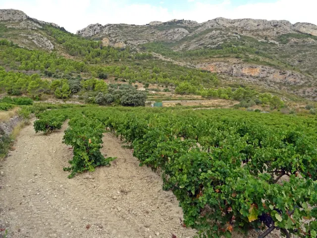 Bodega en venta en Jalon — 22