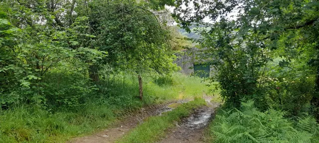 Se terreno rústico con posibilidad de construir en Cereceda  - foto 5