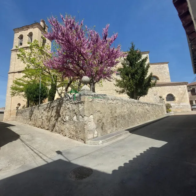 Encantadora Casa Rural en Nava de Roa -Burgos - foto 4