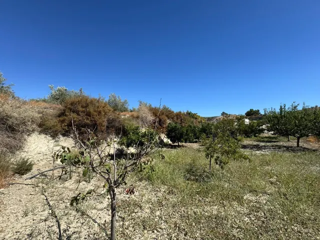 ¡Descubre tu oasis agrícola en plena naturaleza! - foto 3