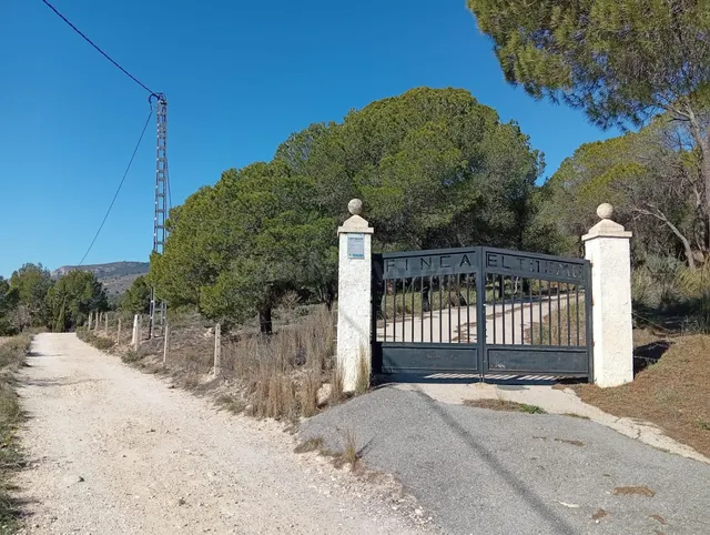 VENTA FINCA RUSTICA CON CASA EN ONIL--ZONA "EL TORMO" - foto 2