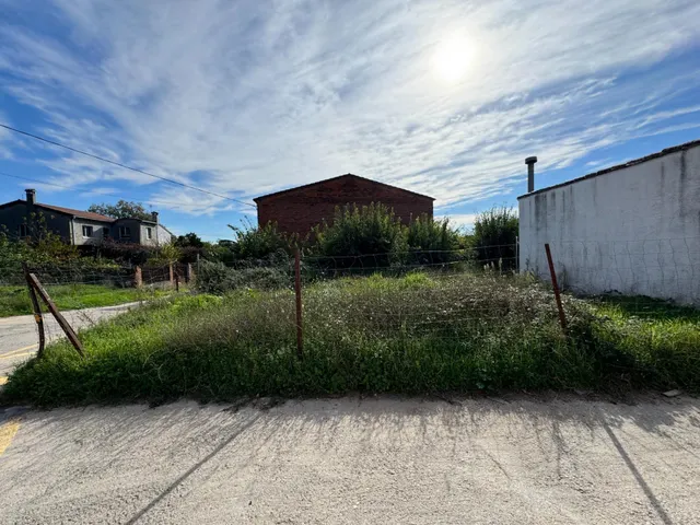 el carrascal — 16