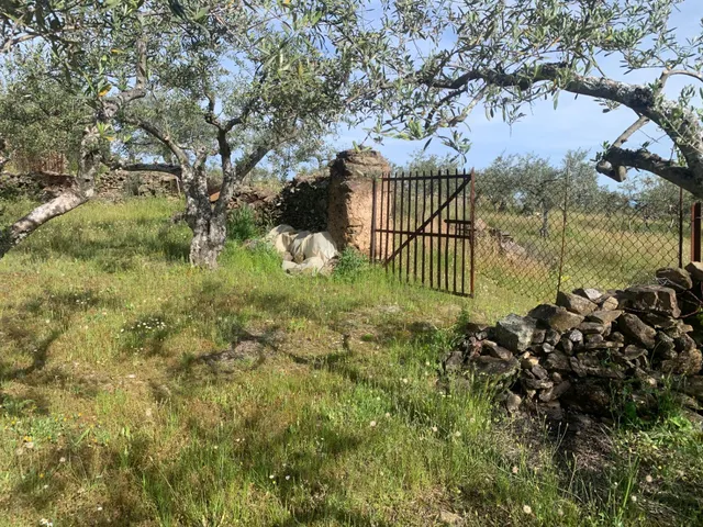 Paraje Carboneras, Casas de Millán — 7
