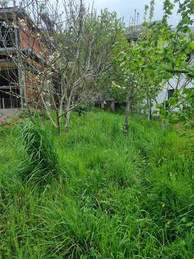 Venta casa con terreno en Tremor de Abajo — 9