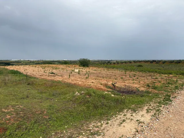 Terreno rural en venta - Andalucia - foto 5